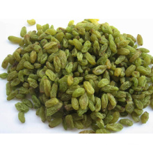 Food Grade Xinjiang Origin Green Raisin